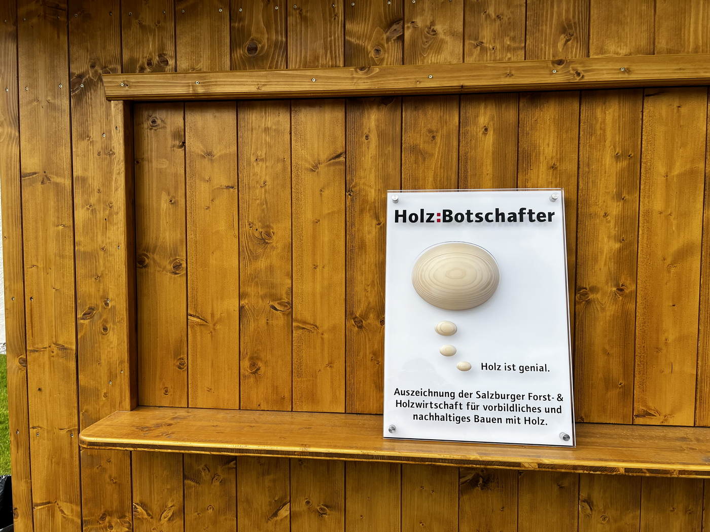 Holzbotschafter c proHolz Salzburg